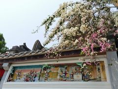 -深圳国际园林花卉博览园