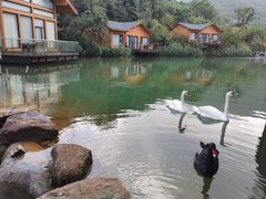 -杭州开元森泊度假乐园