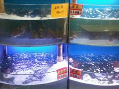 水产区-蔚海之都·象山蒸汽海鲜(仙霞路店)