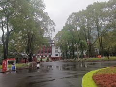 -四川大学(望江校区)