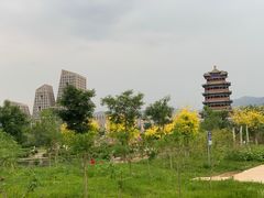 -门城湖公园