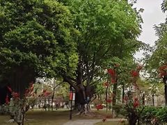 -南海神庙