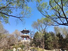 -莲花池公园