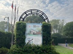 -金山农民画村-枫泾波兰倒置屋