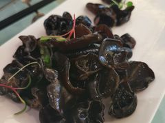 凉拌黑木耳-上海小南国(世博源店)