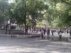 android_upload_pic-文瀛公园