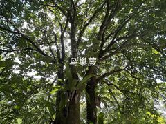 -海口火山口国家地质公园