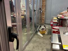 -生活如沸·顺德水牛奶火锅(大学路店)