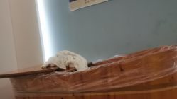 -普睿媞产后直营连锁(天鹅湖万达店)