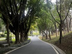 -广州雕塑公园