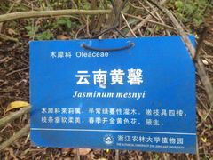 -浙江农林大学(东湖校区)