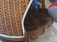 -青水瓦台汤泉(未央店)