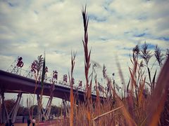 -西安浐灞国家湿地公园