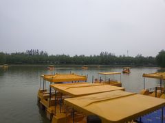 -杨柳青庄园