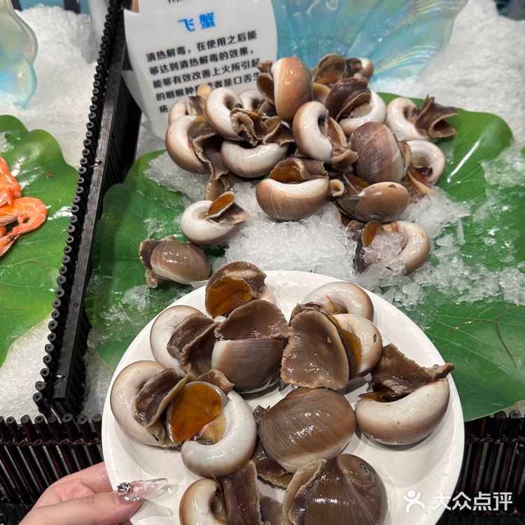 江汉路新开的！大学生聚餐必冲！