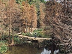 -云溪植物园