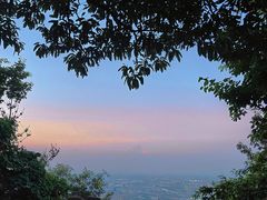-惠山国家森林公园