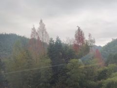 -塔川景区