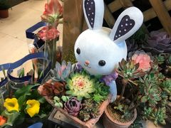 -双季花艺园艺市场(浦东店)