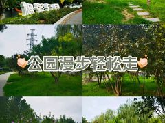 -榴彩公园