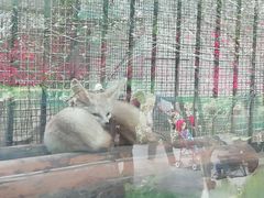 -昆明动物园