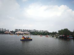 -上海长兴岛郊野公园