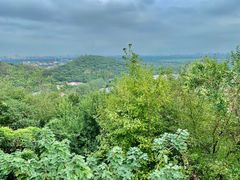 -上海佘山国家森林公园西佘山园