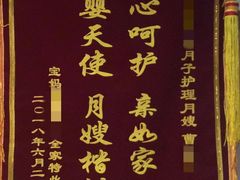 -优护优家Ucare月嫂育儿嫂陪伴师(静安店)