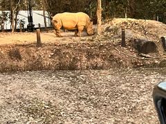 -清迈夜间动物园