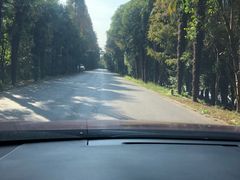 -上海海湾国家森林公园