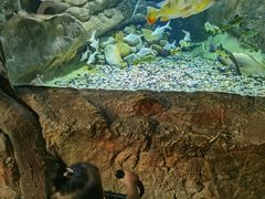 -多彩贵州城极地海洋世界