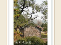 -国家植物园