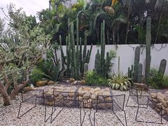 -自由生长植物工作室(深港花卉中心店)
