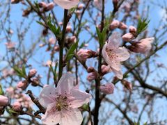 -蜀冈西峰生态公园