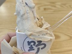 -野人先生Gelato(上海长宁龙之梦店)