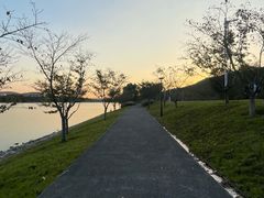 -羊山湖公园