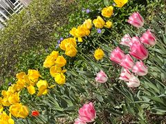 -玄武湖景区-情侣园游乐场