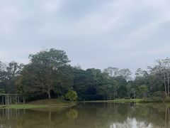 -中国科学院西双版纳热带植物园