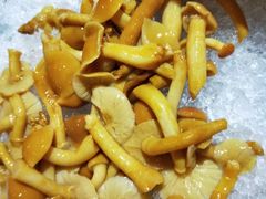 -探窝·竹笙椰子鸡(杨箕店)