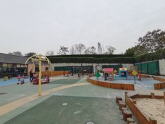 -成都泰迪熊博物馆