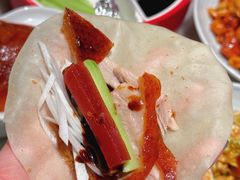 -小吊梨汤·北京菜·烤鸭(鸟巢店)