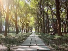 -区行政办公中心5号地块绿地-地下停车场