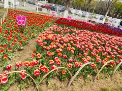 -玄武湖景区-情侣园游乐场