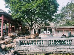 -顺峰山公园