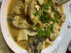 -煲来饱去冷水鱼