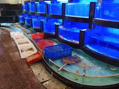 -御同亨酒楼·喜宴