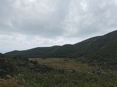 -大围山国家森林公园