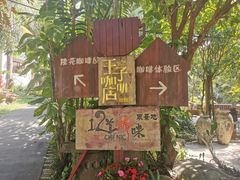 -兴隆隆苑咖啡庄园