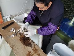 -阳澄湖大闸蟹·琼灵阁牌品牌连锁(吴中总店)