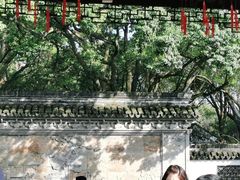 -上海醉白池公园